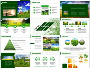 2018互联网农业农副产品创业融资生态圈商业计划书模板