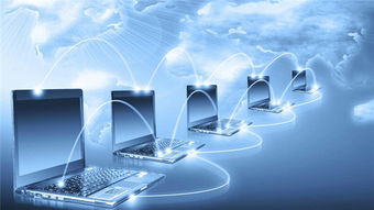 权威媒体辽宁之窗引领互联网销售新风尚